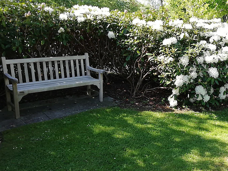 Bænk med rododendroner på Annekskirkegården
